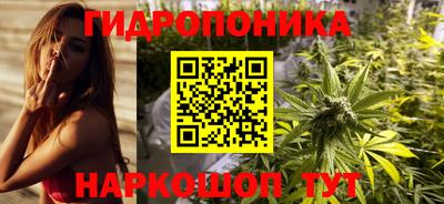 apvp Нальчик