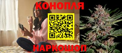 a pvp Новодвинск