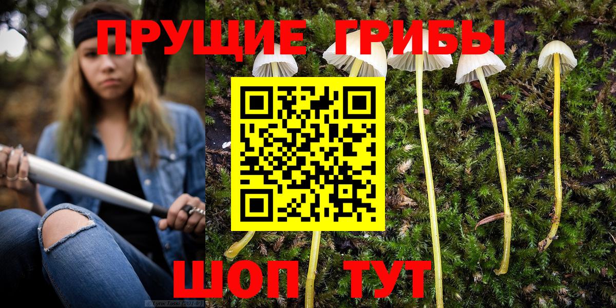 Галлюциногенные грибы Cubensis  Галлюциногенные грибы Magic Shrooms  Вход с VPN  Рязань 