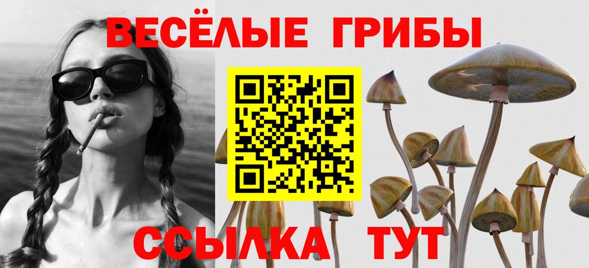 Галлюциногенные грибы Cubensis Рязань